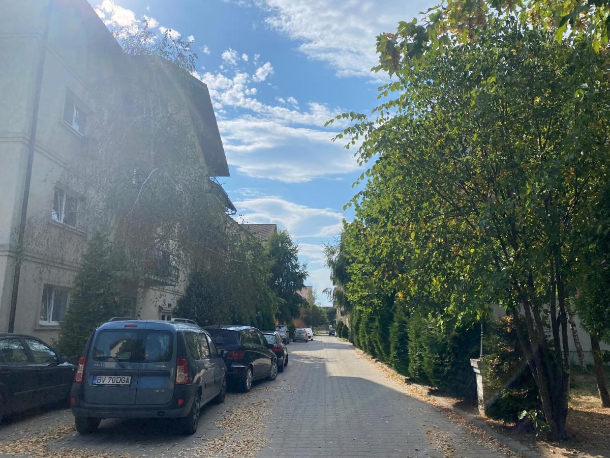 Wanderlust Home Cream, Rasnov Apt For 4, Wifi And Free Parking מראה חיצוני תמונה